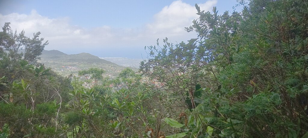 Fenetre Bon Accueil-vue sur St Pierre-20260825 121818b