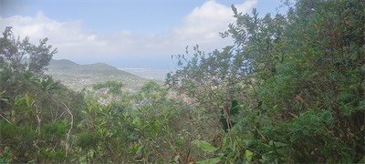 Fenetre Bon Accueil-vue sur St Pierre-20260825 121818b