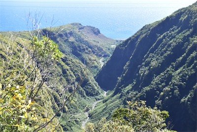 Ravine de la Grande Chaloupe