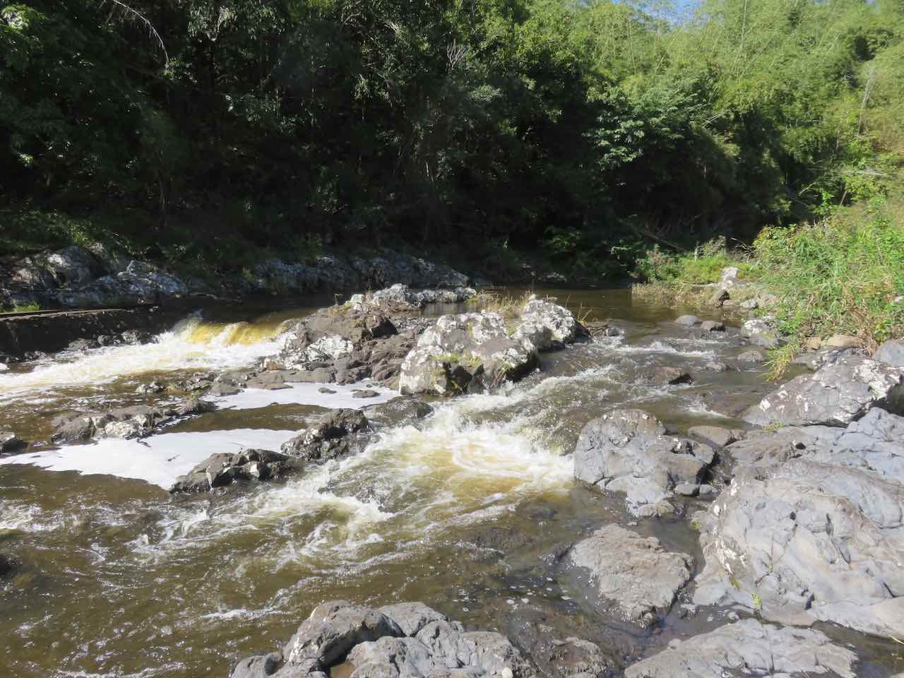 16. Au sommet de la Cascade Niagara, vue vers l'amont