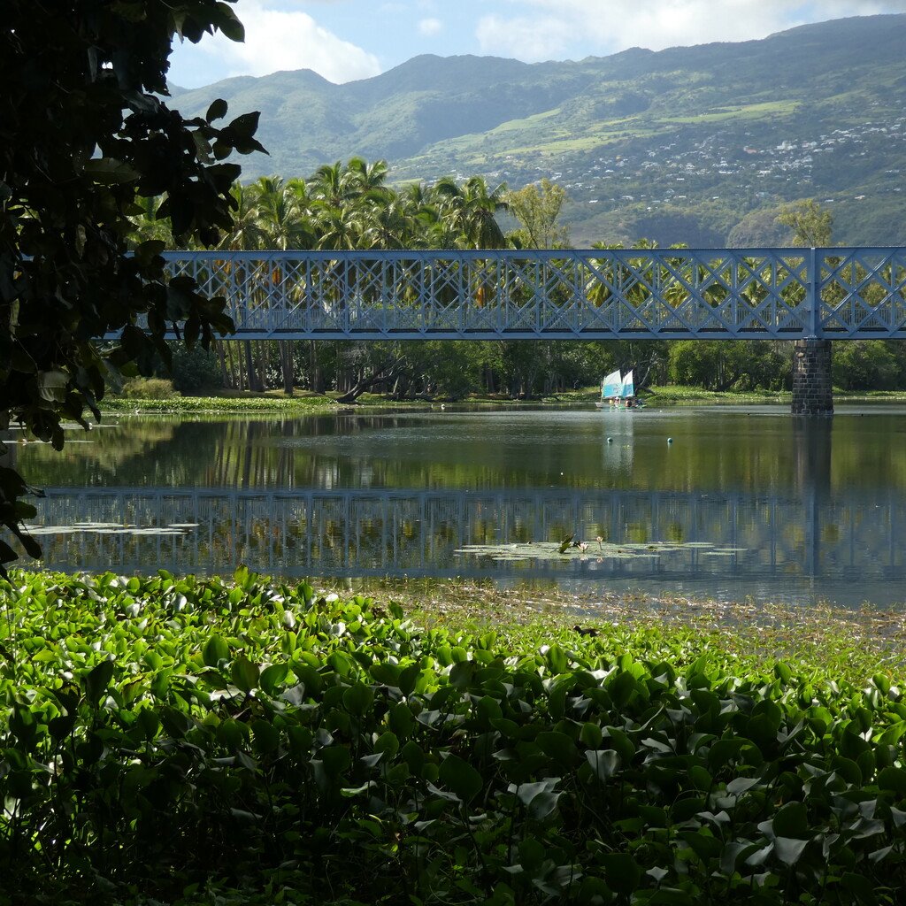 Etang St Paul