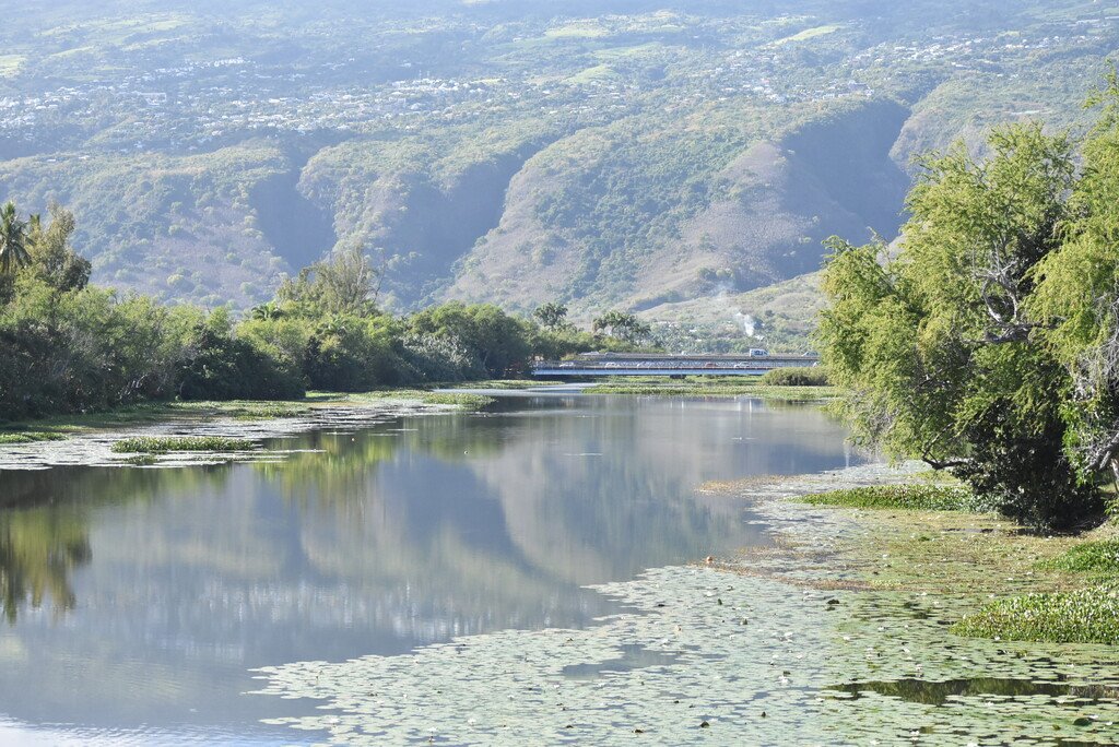 Etang St Paul-vers-Savanna