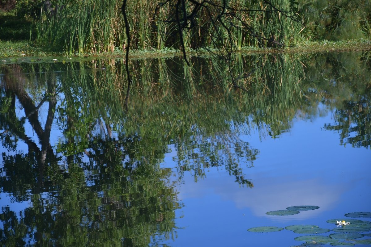 44 Reflets