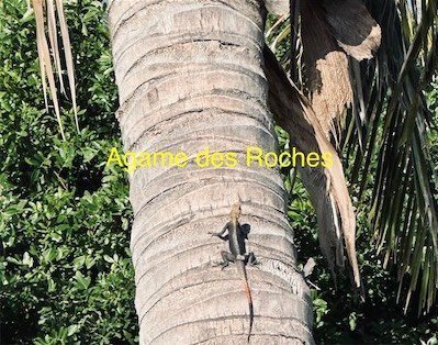 IMG_9669.jpeg