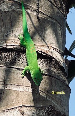 IMG_9673.jpeg