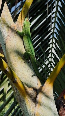 IMG_9674.jpeg