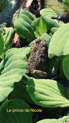 IMG_9679.jpeg
