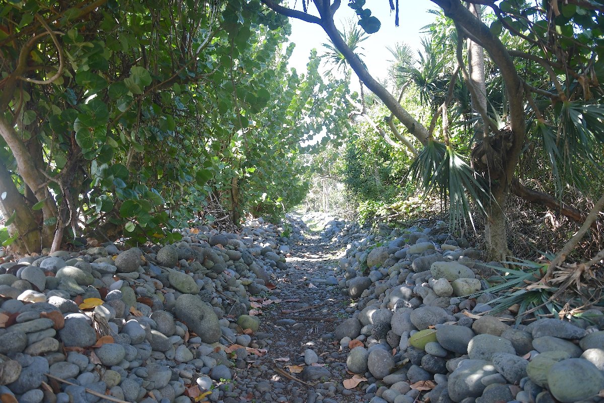 49 Sentier 