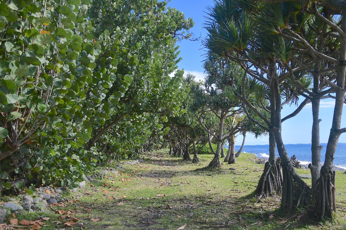 51 Sentier
