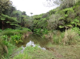 La ravine, petit coin tranquille