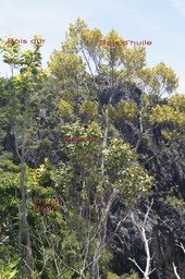 Biodiversité-1