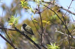 IMG_6532