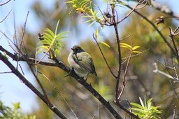 IMG_6536