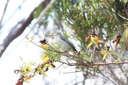 IMG_6539