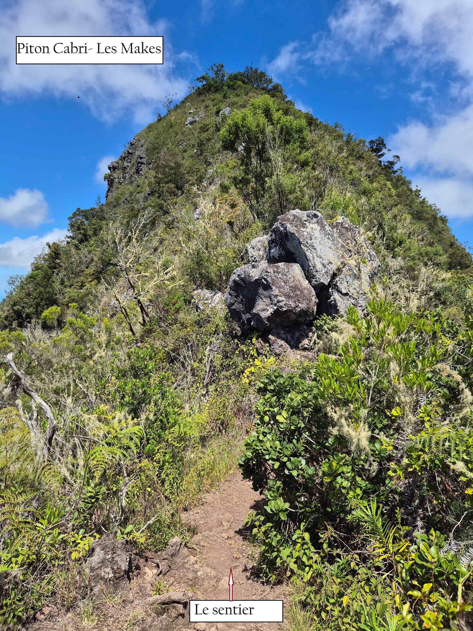 1- Piton cabri (1)