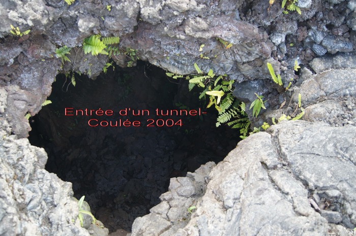 Colonisation- Tunnel