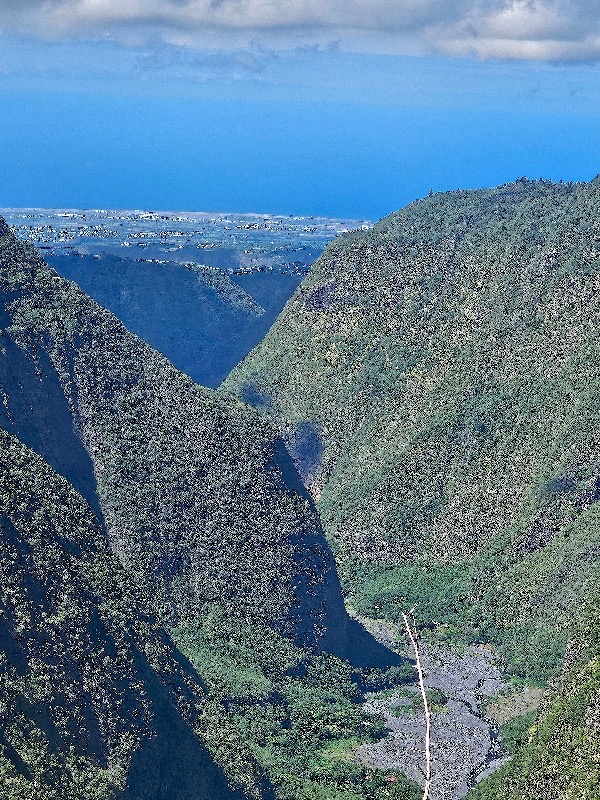 Vue du sentier Bois Court 29.jpeg