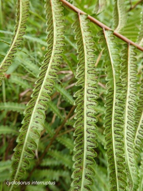 P1300257