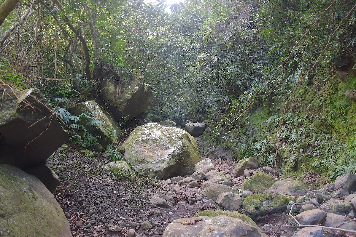58 Ravine