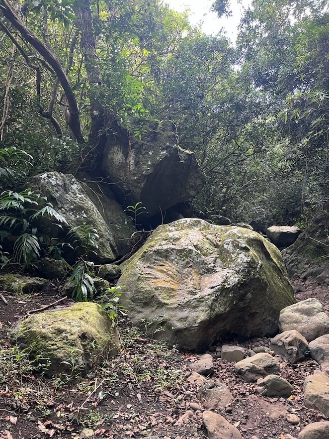 Fond de ravine