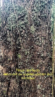 IMG_9626.jpeg