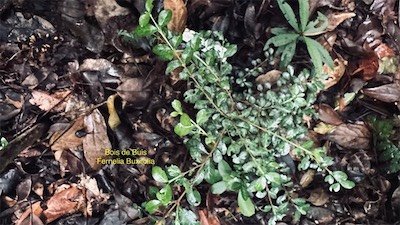 IMG_9631.jpeg
