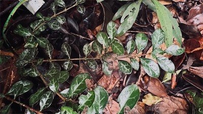 IMG_9633.jpeg
