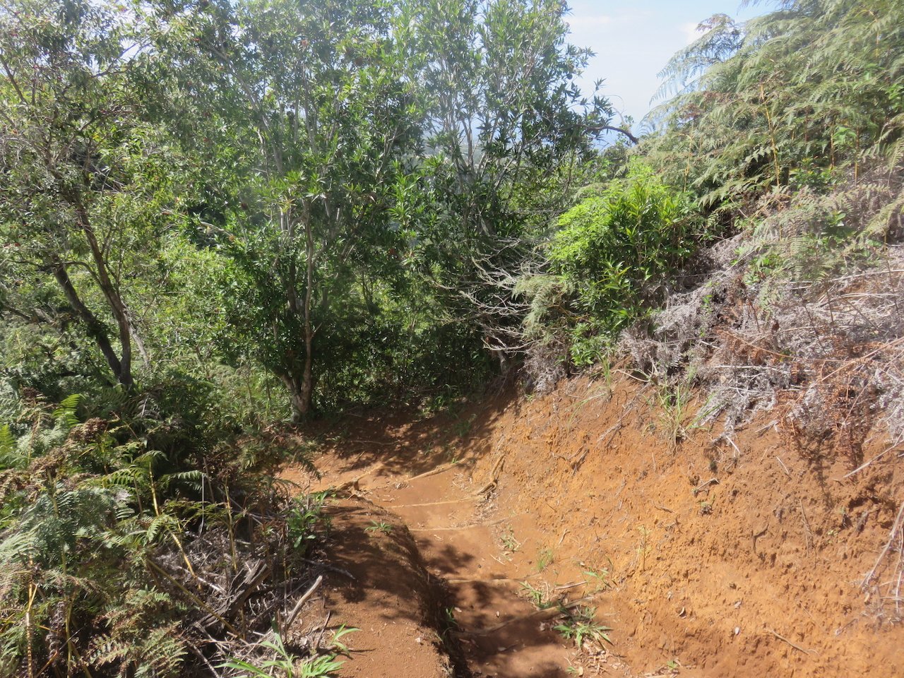              1. Le début du sentier dit de L'Argamasse.jpeg                  