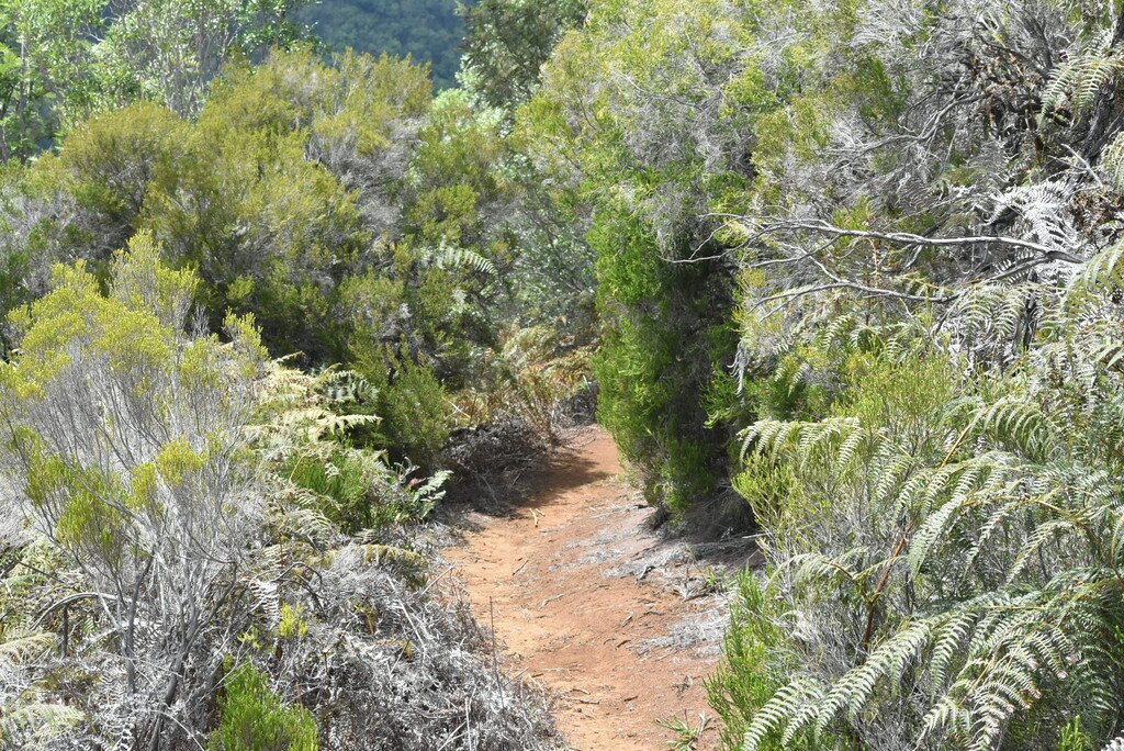 Sur_la_crete_du_sentier_Ledoyen-MB4_2587.jpg