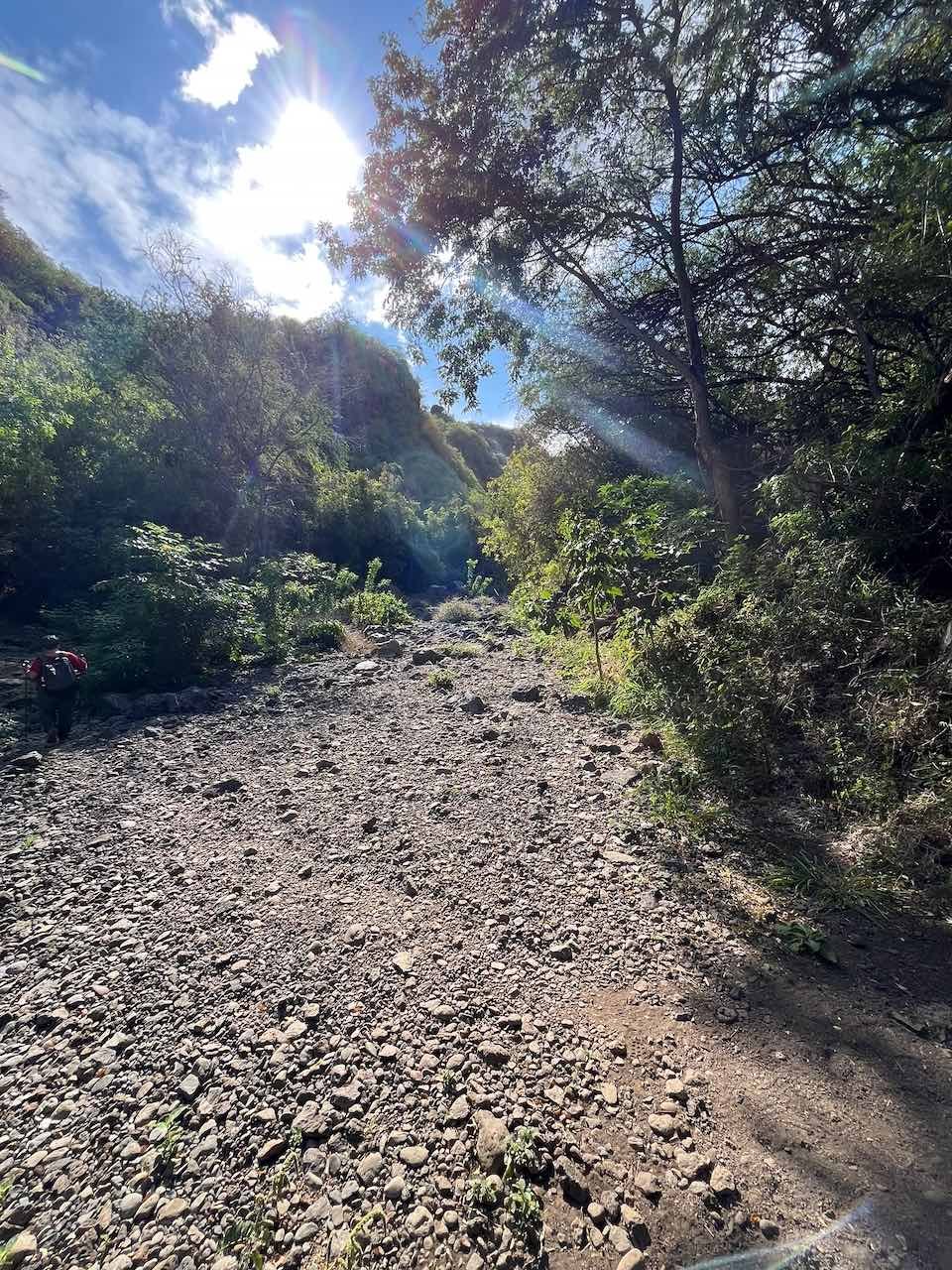 1. Ravine au départ du sentier.