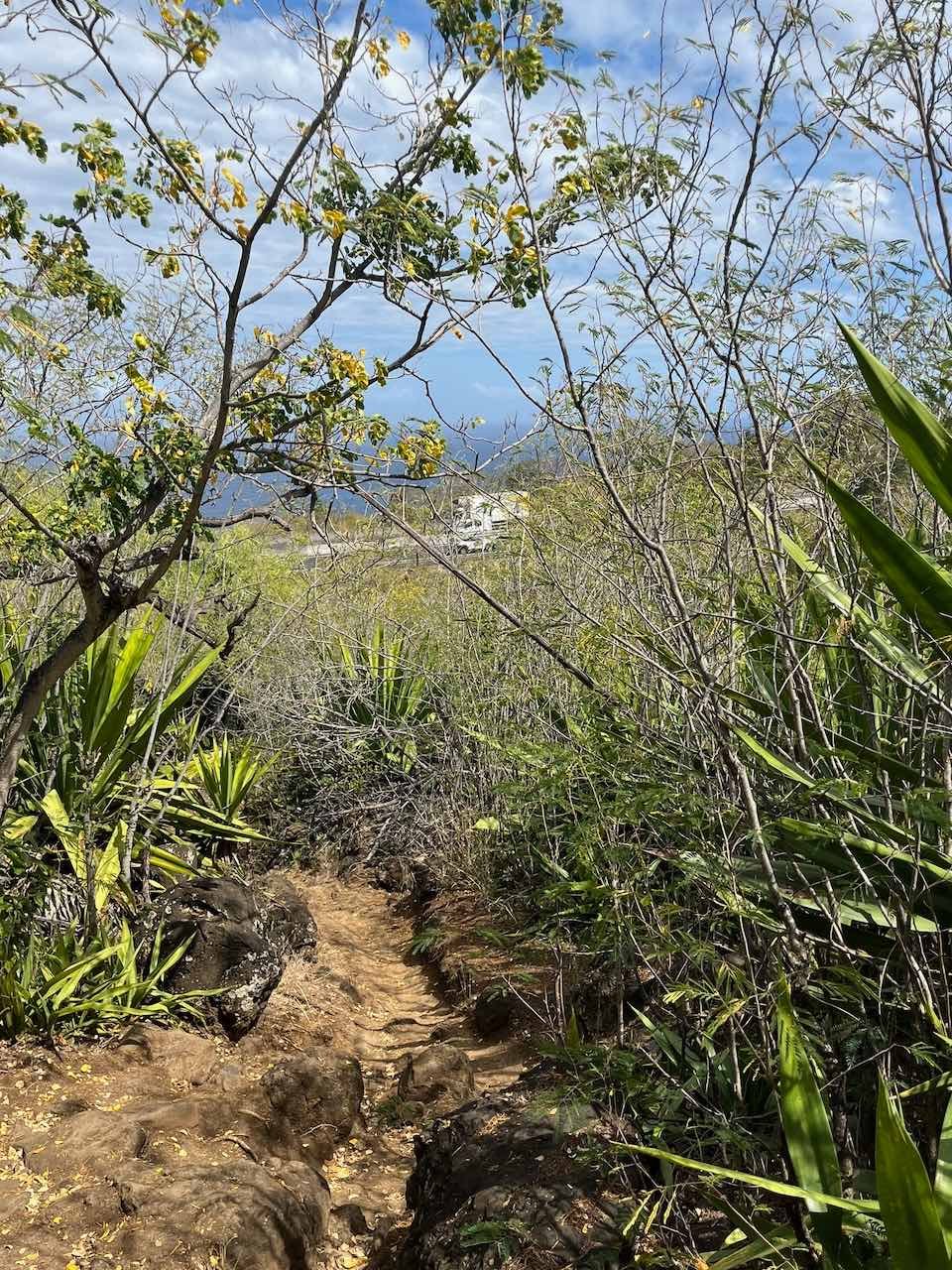25. Apès le tunnel sous la quatre voies, vue sur la Route des Tamarins