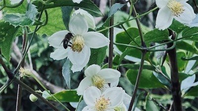 IMG_9139.jpeg