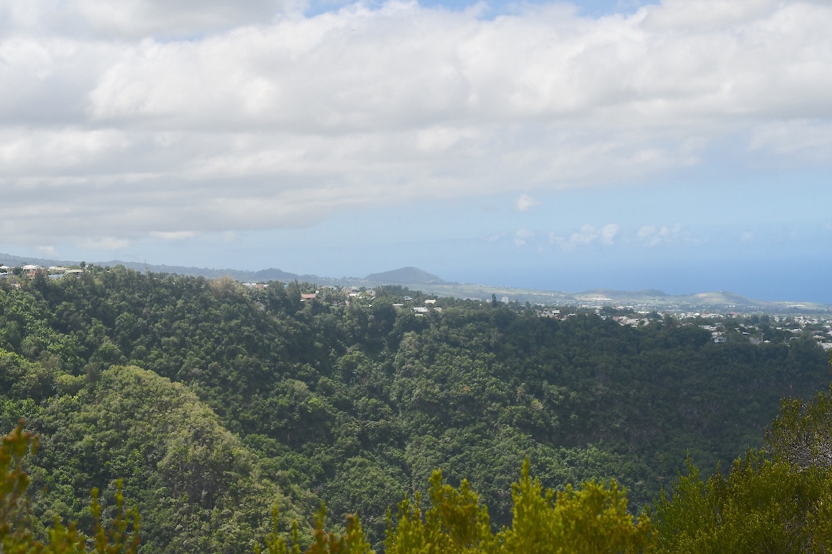 Piton de Mont Vert 3676.jpeg