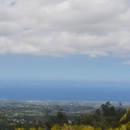 Vue sur le littoral et du Pont de l'Entre Deux 3678.jpeg