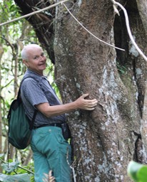 François et son arbre