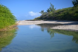 Ravine des Trois Bassins 4938